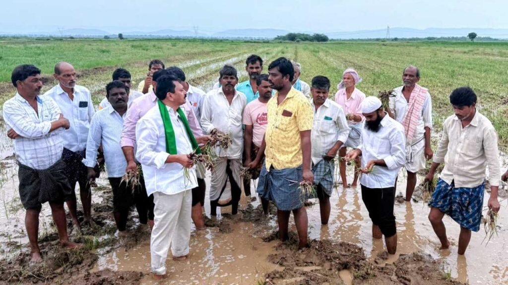 మొంథా తుఫాను వల్ల నష్టపోయిన రైతులను ప్రభుత్వం ఆదుకోవాలి — నల్లేరు విశ్వనాథ రెడ్డి